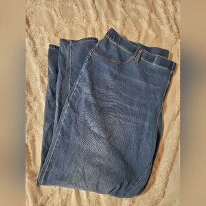 Terra & Sky Jeggings 2X